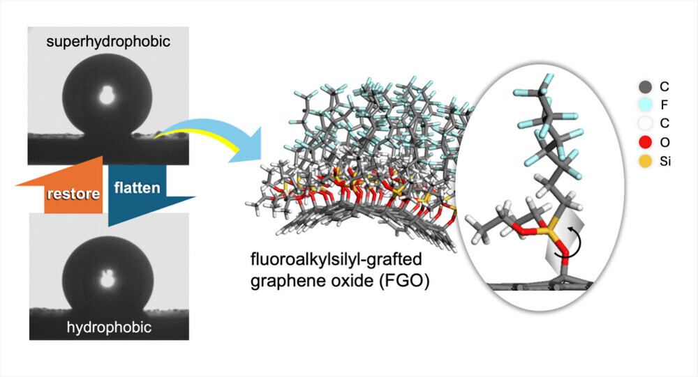 langmuir-2024